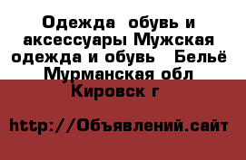 Одежда, обувь и аксессуары Мужская одежда и обувь - Бельё. Мурманская обл.,Кировск г.